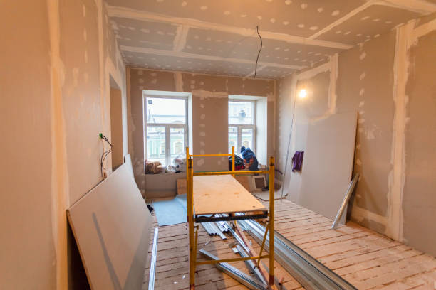 Best Water Damage & Mold Remediation  in Oakwood, IL
